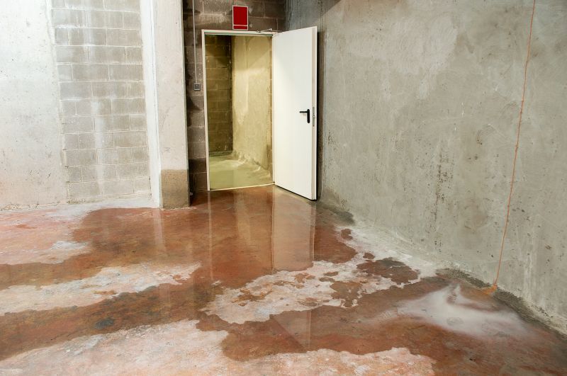 Flooded Basement Cleanup in Chandler, AZ