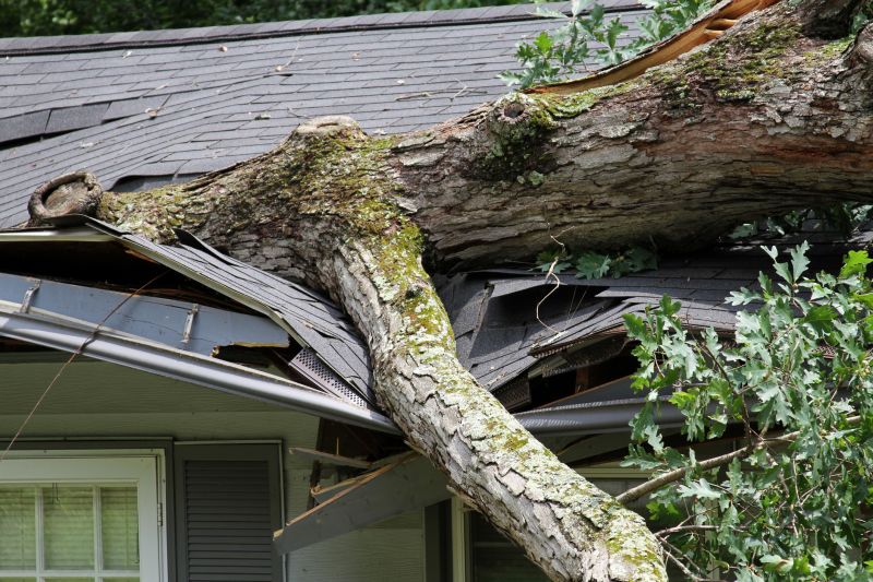 Storm Restoration Service in Scottsdale, AZ