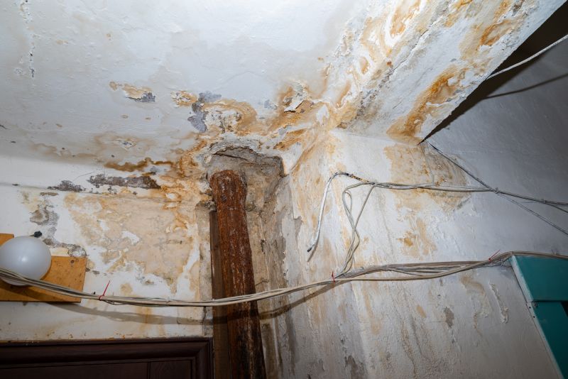 Water Damage Remediation in Scottsdale, AZ