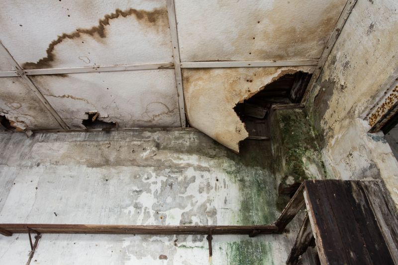 Water Damage Remediation in Gilbert, AZ